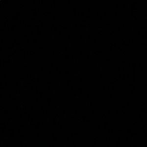 Meet your Posher, Vianna